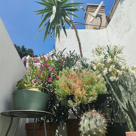 Historic Center Private Terrace Daire Málaga Dış mekan fotoğraf