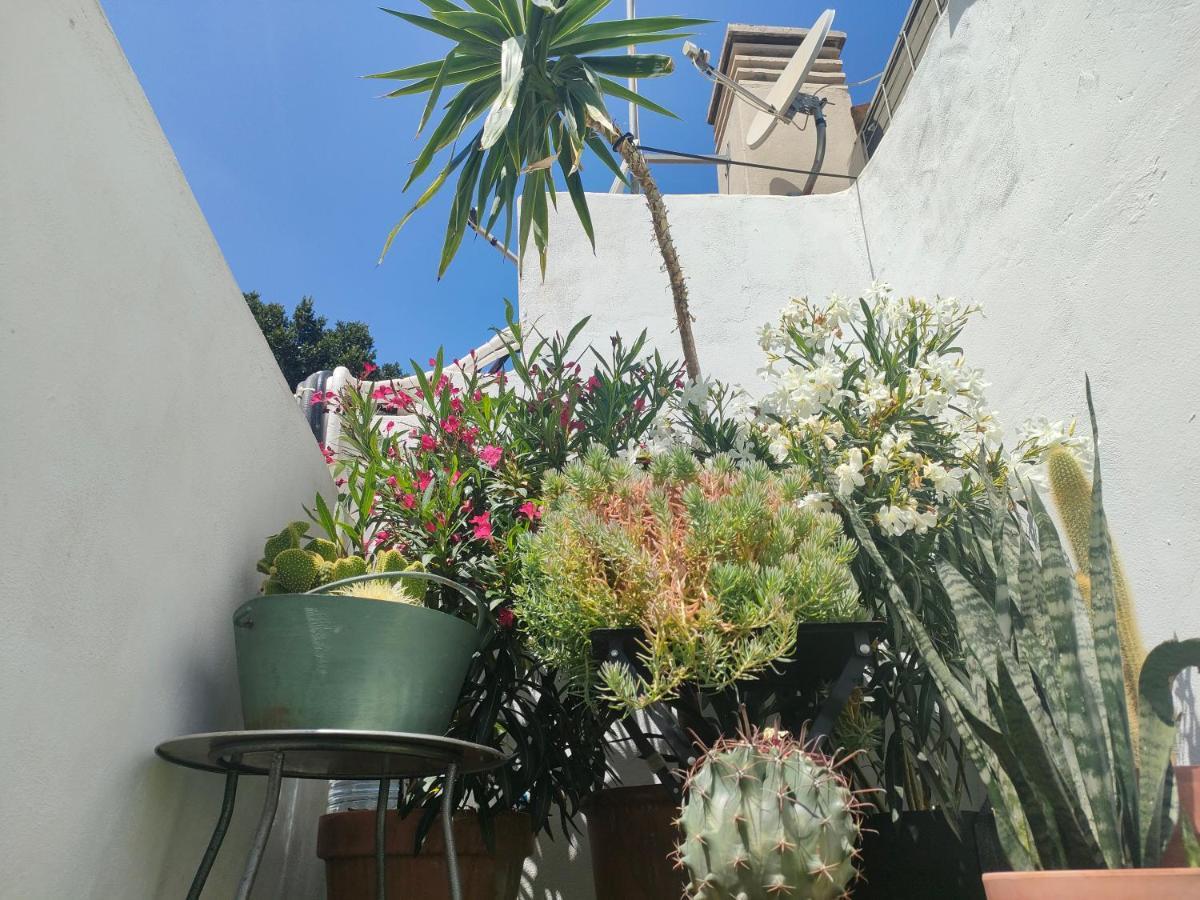 Historic Center Private Terrace Daire Málaga Dış mekan fotoğraf